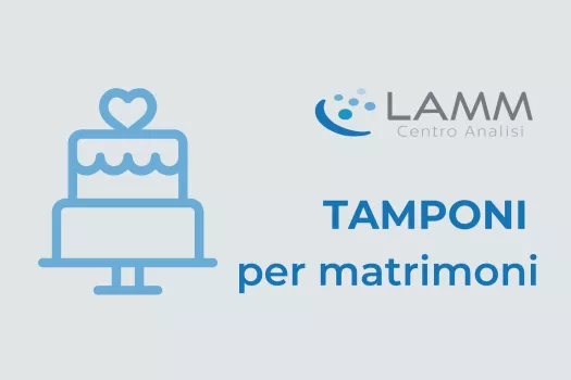 Lamm Tamponi per matrimoni