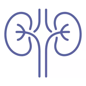 Nefrologia