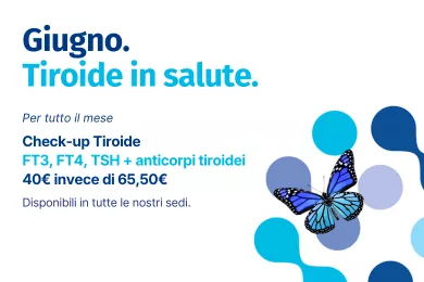 giugno lamm