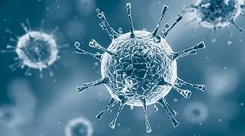 La Biologia Molecolare Nella Diagnosi Delle Infezioni Virali