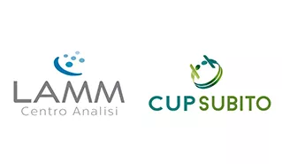 Collaborazione Con Cupsubito