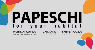 Logo Papeschi