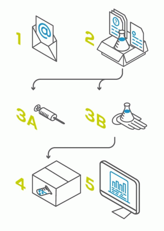 Service illustrazioni verticali